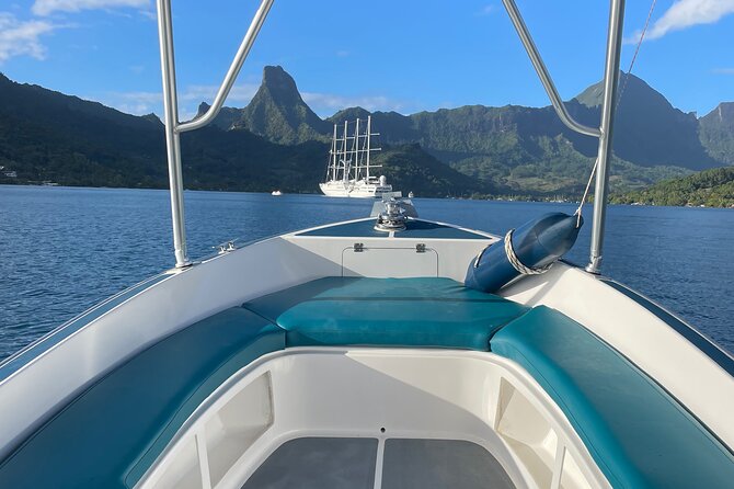 Moorea: Private Snorkeling Tour with Certify Guide - Stop 1 at Tiahura Marine Reserve: reef time without the crowd chaos