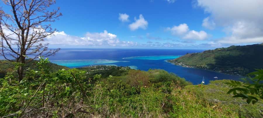 Moorea : Safari Nature and Culture Tour with local guide - Key things you will notice on this Moorea VR tour