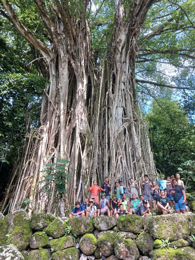 Moorea : Safari Nature and Culture Tour with local guide - Ōpūnohu Bay and the Opunohu archaeological site