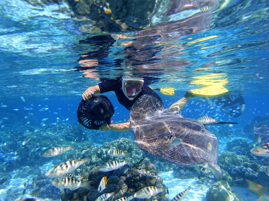 Moorea: Sea Scooter Snorkeling Tour - Final verdict: should you book Moorea Water Games sea scooter snorkeling?
