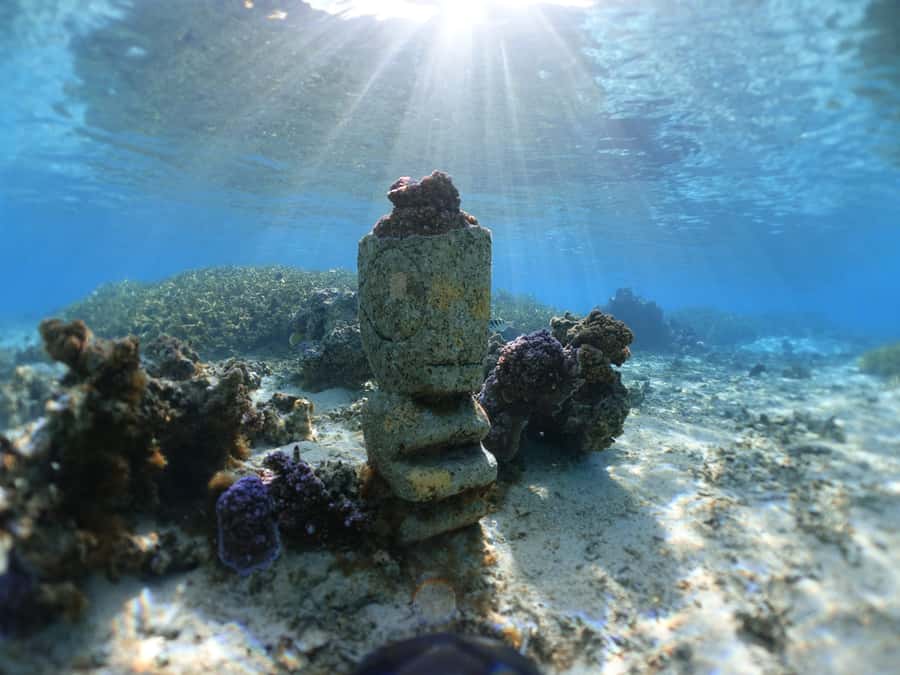 Moorea: Sea Scooter Snorkeling Tour - Rain or shine: what weather does to the experience