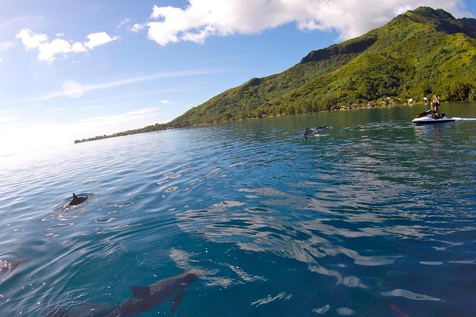 Moorea Solo or Twin 3 hours Jet Ski Tour - Price and Value: Is $131.28 Worth It?