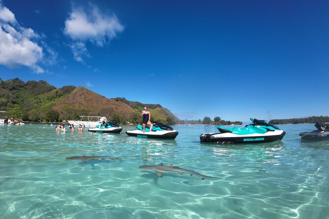 Moorea Solo or Twin Island Tour Jet Ski 4 hours - Wildlife viewing near Moorea Dolphin Center