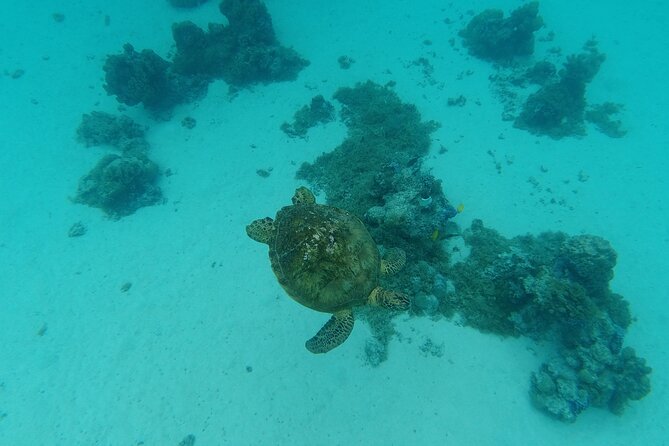 Moorea Solo or Twin Island Tour Jet Ski 4 hours - Who this tour is best for, and who should skip it