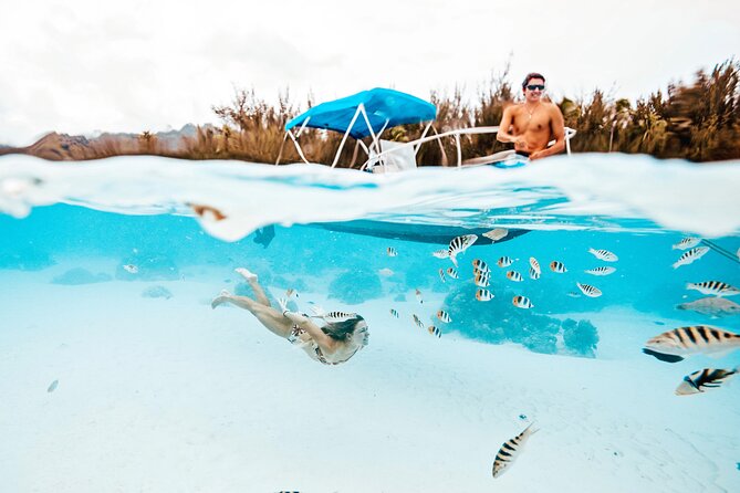 Moorea Sunset Boat Tour - Rays and Sharks Stop: What to Expect and How to Prepare