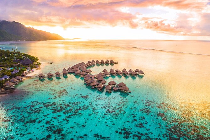 Moorea Sunset Boat Trip - Snorkeling with turtles, plus sharks and stingrays