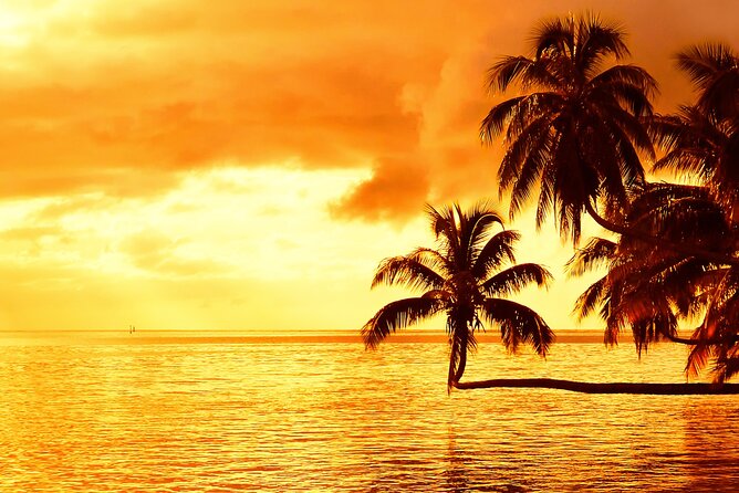 Moorea Sunset Boat Trip - Price and value: why this costs $112.35 and when it makes sense