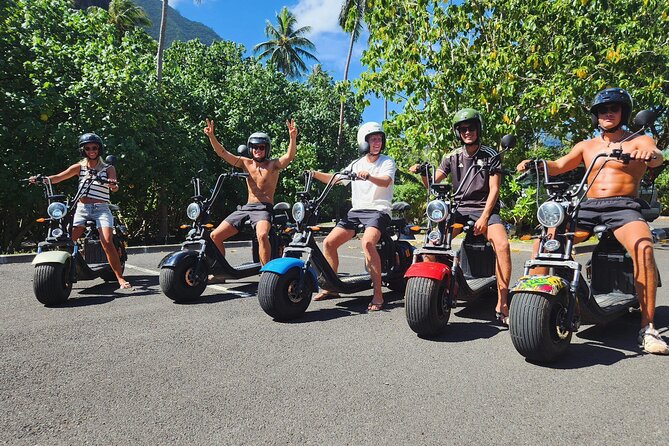 Moorea tour in electric citycoco (in autonomy) - Stop 4: Criobe Moorea and the Opunohu ecomuseum pause