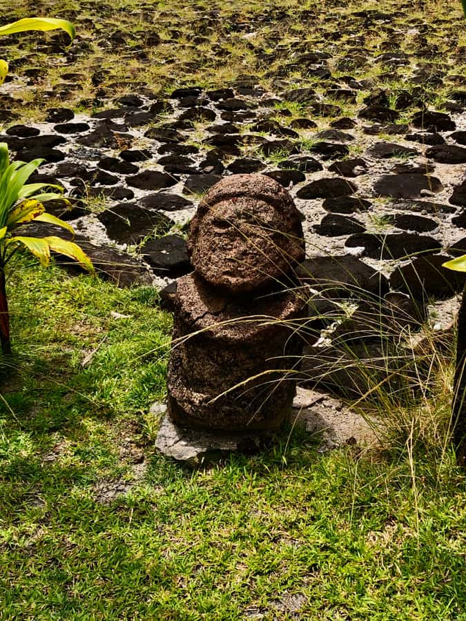 Must-Do : Nature, Culture & Moments Uniques – MirimirI Tours - Key Things to Know Before You Go