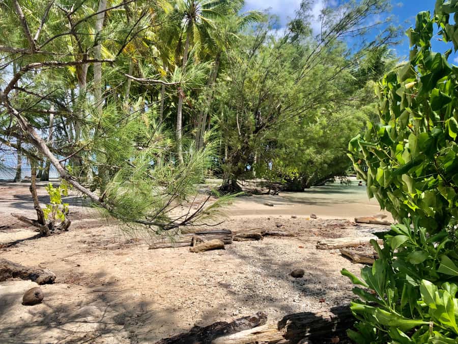 Must-Do : Nature, Culture & Moments Uniques – MirimirI Tours - Pearl Farm and the Craft Side of Raiatea