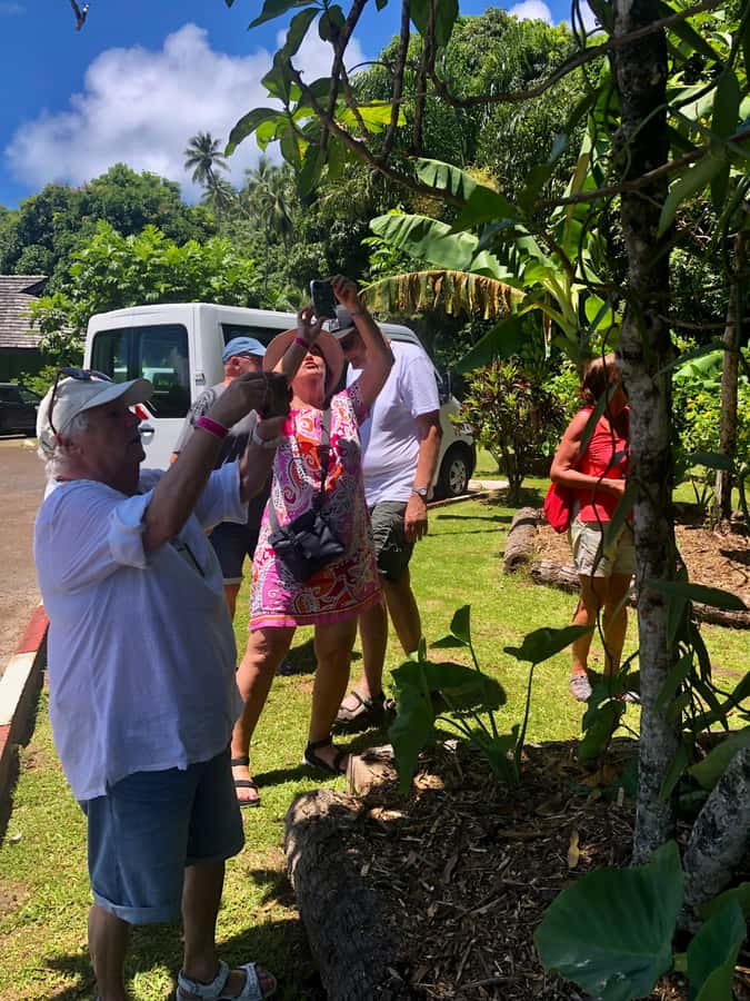 Must-Do : Nature, Culture & Moments Uniques – MirimirI Tours - Food and Drink Stops: Fruit, Juices, and Local Beer