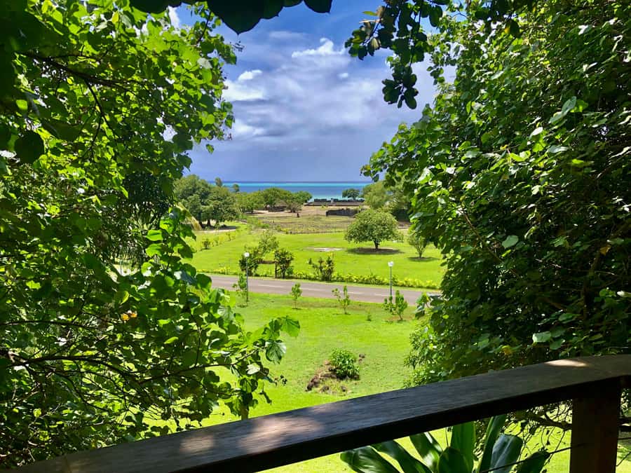 Must-Do : Nature, Culture & Moments Uniques – MirimirI Tours - Your East Coast Route Options, Farm Time or Faaroa Belvedere