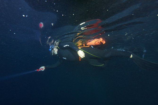 Night Snorkeling - Price and value: what $120 covers beyond the water time