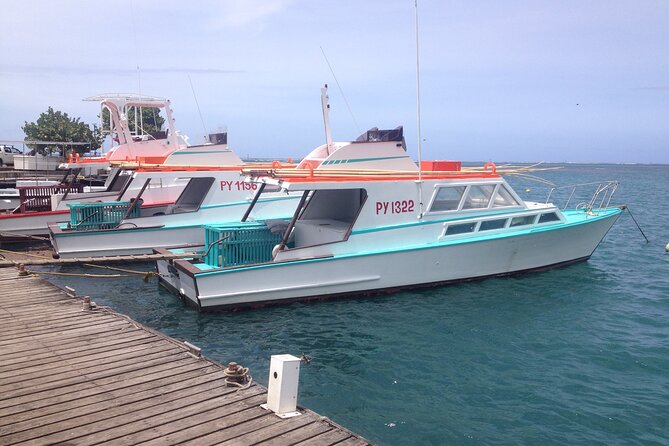 Papeete and Tahiti Historical and Cultural Tour - Why a Papeete and Tahiti tour fits so well into real schedules