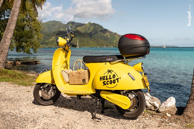 Papeete Food & City Tour - Price and value: why $130 can make sense in Tahiti