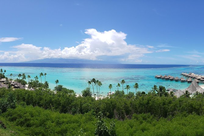 Private 2 Hour Walking Tour in Papeete - Stop 2: The Assembly of French Polynesia, where politics meets street view