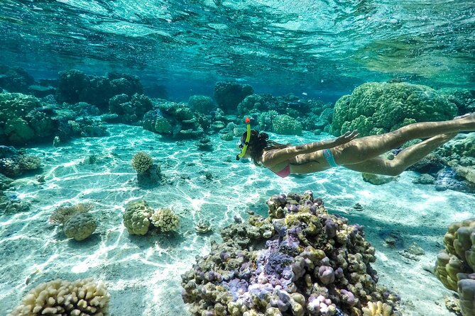 Private 4 Hours Reef Discovery Luxury Private Treasure Hunt in Bora Bora - Stop by Stop, What You Can Expect to See
