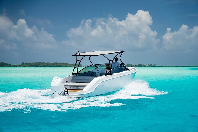 Private 4 Hours Reef Discovery Luxury Private Treasure Hunt in Bora Bora - Why the Captain Matters More Than the Marine Life Checklist