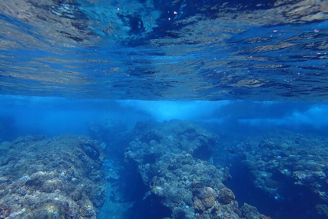 Private 4 Hours Reef Discovery Luxury Private Treasure Hunt in Bora Bora - How the Treasure Hunt Works on the Lagoon