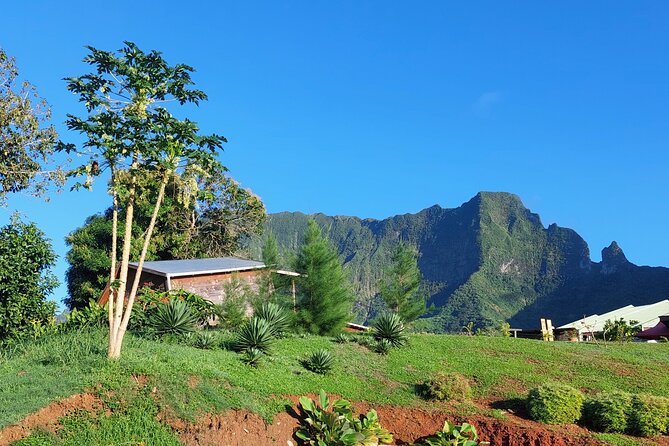 Private and guided visit to Mystery House Raiatea - Key things you’ll remember from Mystery House Raiatea