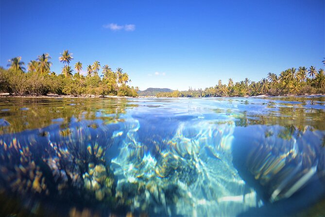 Private and guided visit to Mystery House Raiatea - Who will enjoy Mystery House Raiatea most