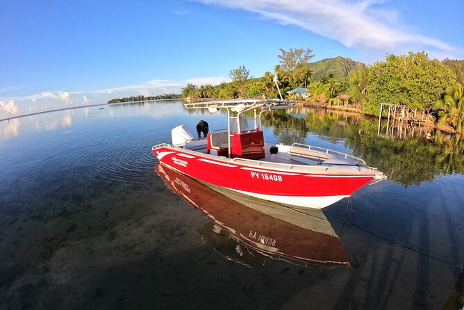 Private Big Game Fishing Day - 6:00 am in Papeete: how to make it painless