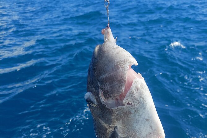 Private Big Game Fishing Tour in Raiatea - Who should book this Raiatea charter