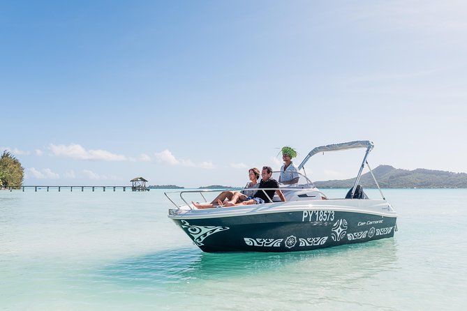 Private Boat Rental on Cap Camarat 17ft - Snorkelling around sharks, rays, and coral gardens, safely