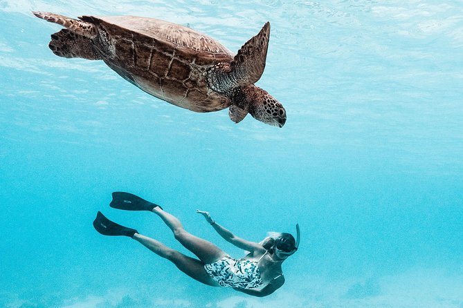 Private Boat Tour of Moorea Lagoon - A small-boat, private Moorea Lagoon experience with Luna and Clem
