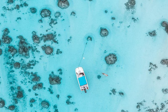 Private Boat Tour of Moorea Lagoon - GoPro photos and the above-water views you will actually remember