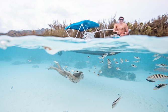 Private Boat Tour of Moorea Lagoon - The fruit-and-juice break, plus that papaya feeding moment