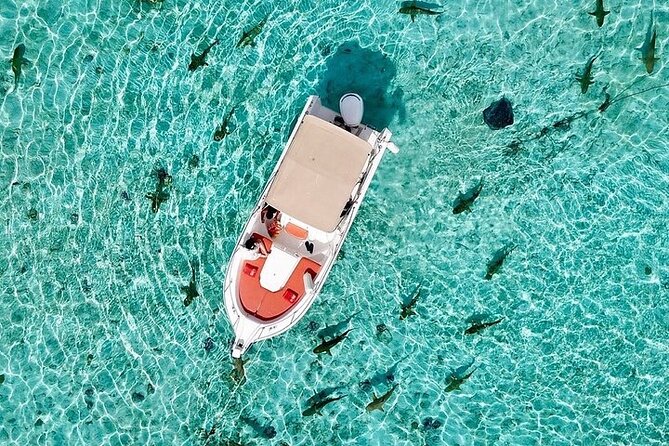 Private Bora Bora Lagoon Experience - Where You Meet: Vaitape, Pickup, and Timing That Matters