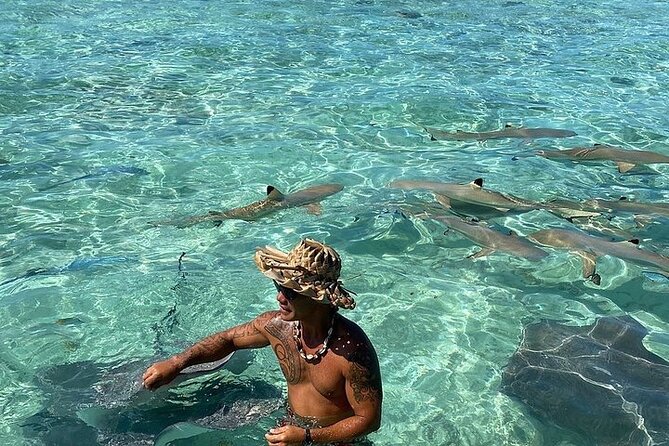 Private Bora Bora Lagoon Experience - Weather, Sea Conditions, and What Happens if It’s Canceled