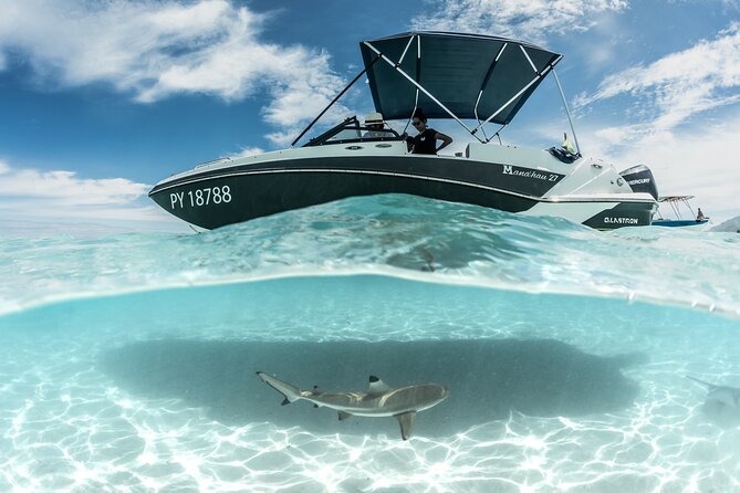 Private Day Trip Hike and Boat in Moorea - Private Format: Why It Feels More Personal