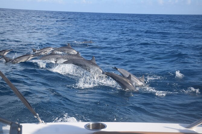 Private Day Trip Hike and Boat in Moorea - Practical Tips for Timing, Gear, and Sea Conditions