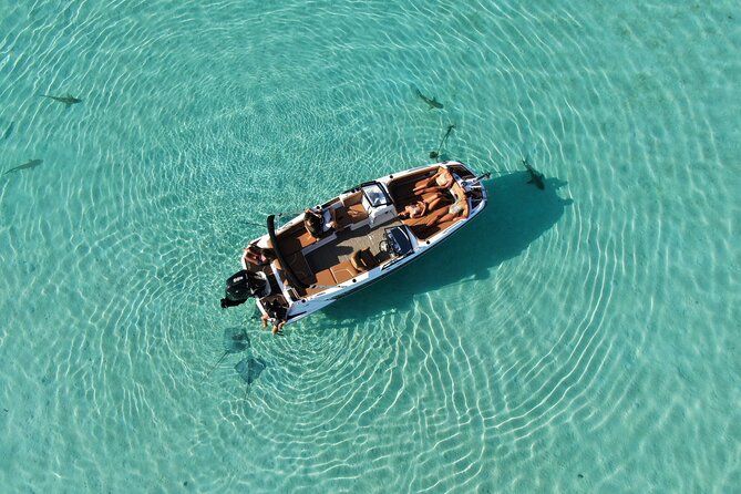 Private Day Trip Hike and Boat in Moorea - Who Should Book This Hike and Boat Day?