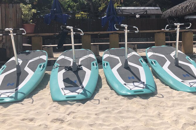 Private Electric Paddle Cruise in Bora Bora - How long is the ride, and what to do with that hour