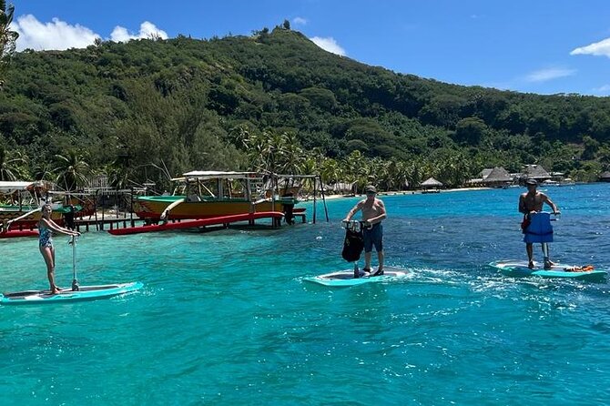 Private Electric Paddle Cruise in Bora Bora - Safety, rules, and the limits you must respect