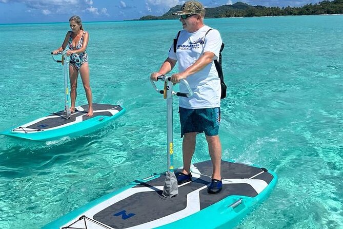 Private Electric Paddle Cruise in Bora Bora - Price and value: is $55 per person worth it?