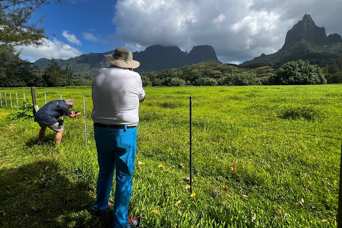Private excursion to Moorea, photo tour & immersive discovery - Who this tour suits best