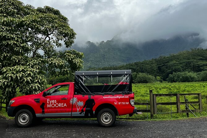 Private excursion to Moorea, photo tour & immersive discovery - Should you book this Moorea photo tour?
