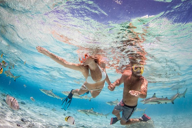 Private Full Day Aquatic Photo Tour + Resort Photo-Shoot (All inclusive) - Motu Lunch, Optional Snorkeling, and Time to Reset