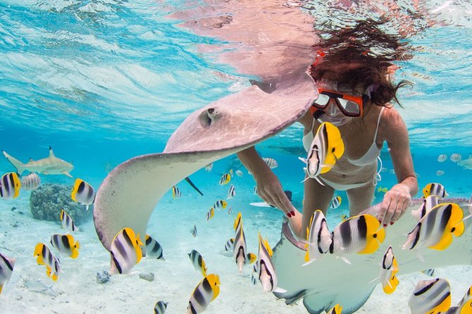 Private Full Day Aquatic Photo Tour + Resort Photo-Shoot (All inclusive) - Your Resort Photo Session: How to Get Two Looks From One Outfit