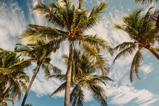Private Full-Day Lagoon Adventure in Bora Bora with BBQ Lunch - How much time you really get (and why the 6 hours works)