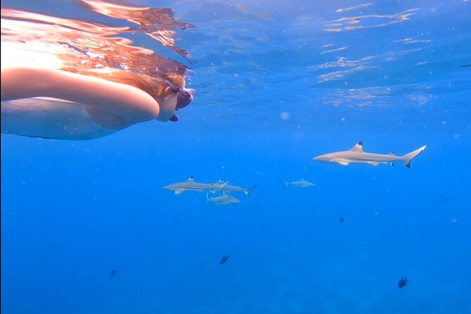 Private Full Day Lagoon Safari and Lunch on a Motu in Bora Bora - Who this tour suits best