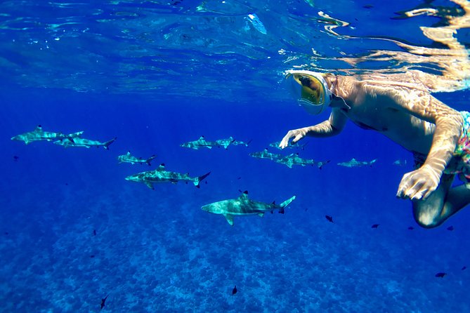 PRIVATE FULL DAY LAGOON TOUR - Bora Bora Cultural Lagoon Tour - Key highlights to watch for