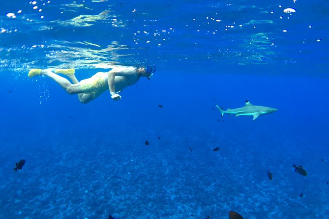 PRIVATE FULL DAY LAGOON TOUR - Bora Bora Cultural Lagoon Tour - A Canoe Ride With Legends Behind the Water