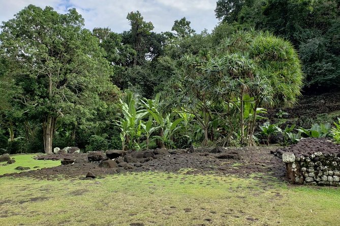 Private Full-Day Tahiti — Grotto, Gardens & Panoramas - Where your day starts: Papeete’s lookout and getting your bearings fast