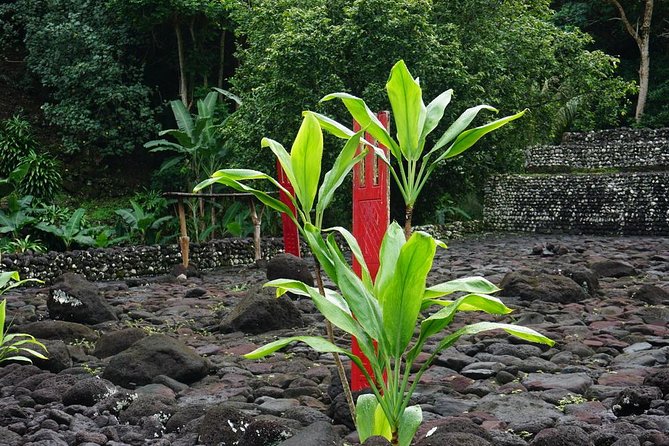 Private Full-Day Tahiti — Grotto, Gardens & Panoramas - Vaipahi Water Gardens: ponds, bubbling water, and an easy nature pause