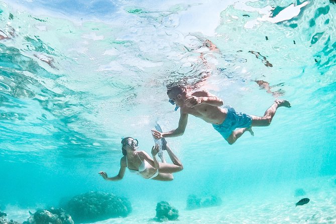 PRIVATE Full Day Tour : Moorea Snorkeling & Sailing on a Catamaran named Taboo - Tropical fruits, refreshments, and a flexible picnic idea
